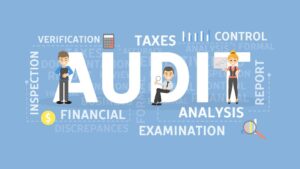 Risk-based internal audit strategy for business growth
